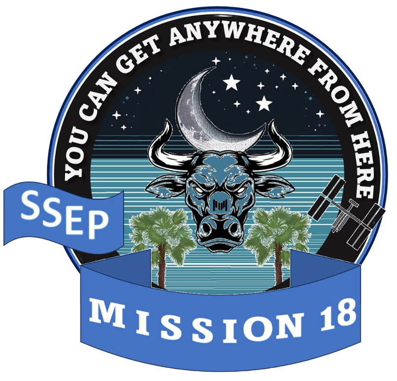 Image of the MTC Spaceflight Patch