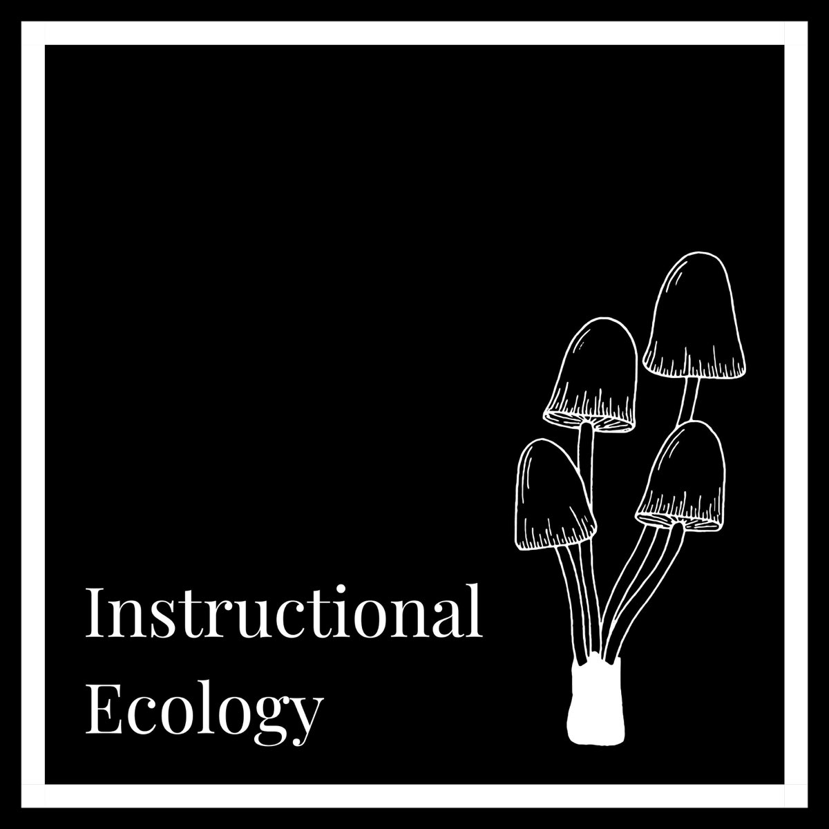 Image of Instructional Ecology podcast